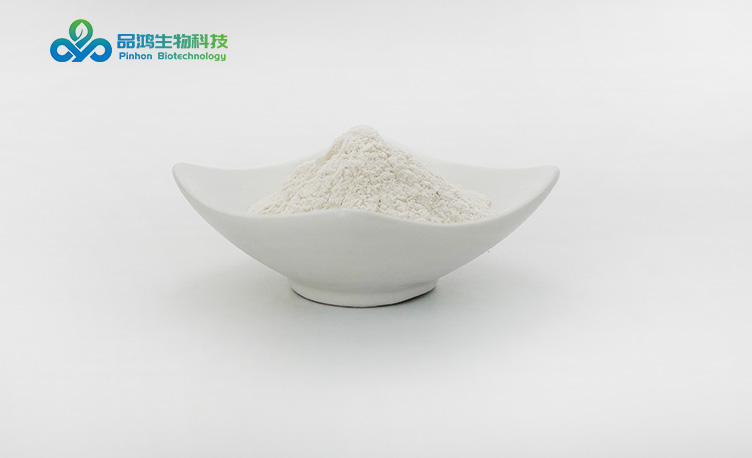 PINHONBIO? 皺波角叉菜提取物化妝品級(jí)